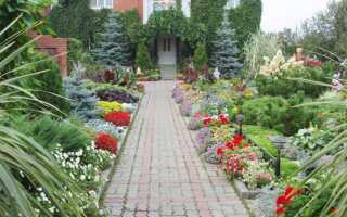 Красивый палисадник своими руками