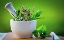 5 категорий лекарственных трав