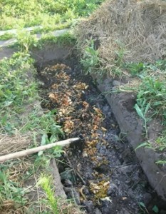 Перемешиваем слои органики, золы и грунта в траншее