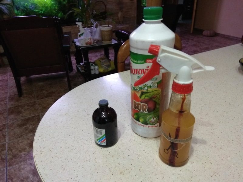 борная подкормка