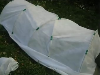 чем укрыть голубику садовую на зиму