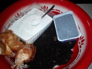 грунт для рассады перца своими руками