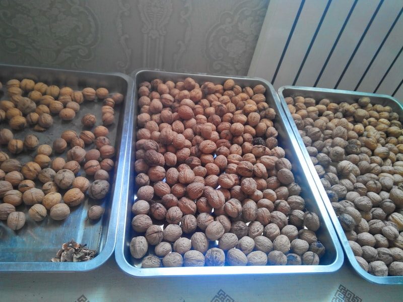 хранение грецких орехов в скорлупе