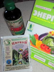 Обработка семян перед посевом