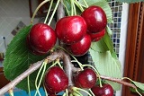 южнобережная фото